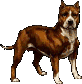 rot